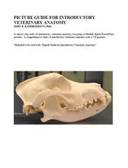 Picture Guide for Introductory Veterinary Anatomy