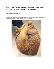 Picture Guide to the Dissection and Study of the Domestic Horse