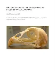 Picture Guide to the Dissection and Study of Avian Anatomy