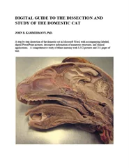 Picture Guide to the Dissection and Study of the Domestic Cat