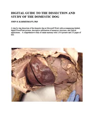 Picture Guide to the Dissection and Study of the Domestic Dog